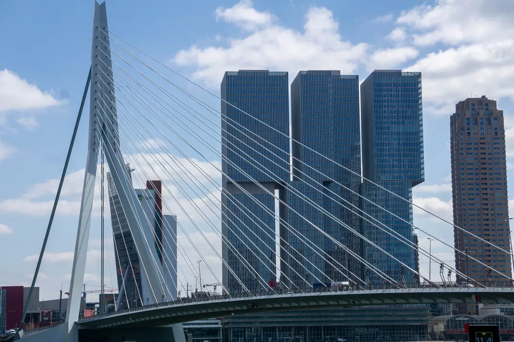 Erasmusbrug in footer